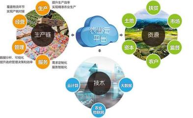 他山之石可以攻玉 借鑒美國農(nóng)業(yè)信息化經(jīng)驗(yàn)，以信息技術(shù)咨詢服務(wù)升級中國農(nóng)民