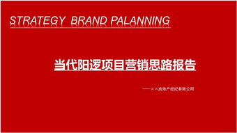 武漢當(dāng)代陽(yáng)邏開(kāi)發(fā)區(qū)住宅項(xiàng)目營(yíng)銷(xiāo)思路報(bào)告126頁(yè)